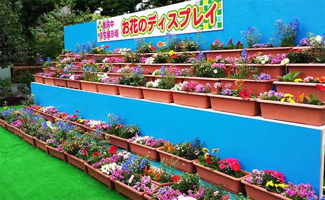 会場装飾例(花のディスプレイ)