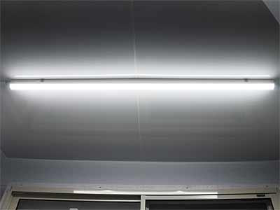 シトロエンフェイス2号のギャラリー画像 5枚目